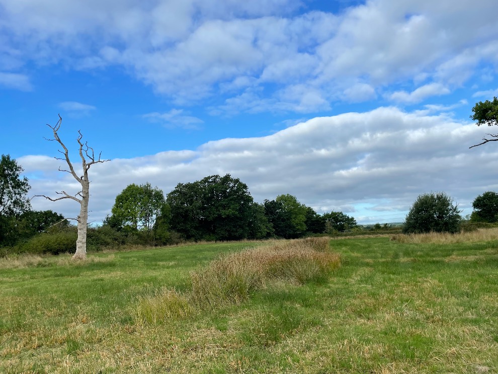 New 25 acre green space secured for East Devon residents The Devon Daily